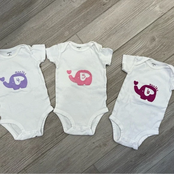 Baby elephant milestone onesies hand painted months 1-9